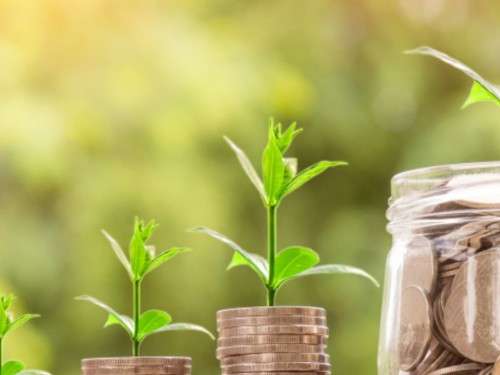 The Paradox of Profitable Bankruptcy: How Companies Can Go Bankrupt While Showing a Profit