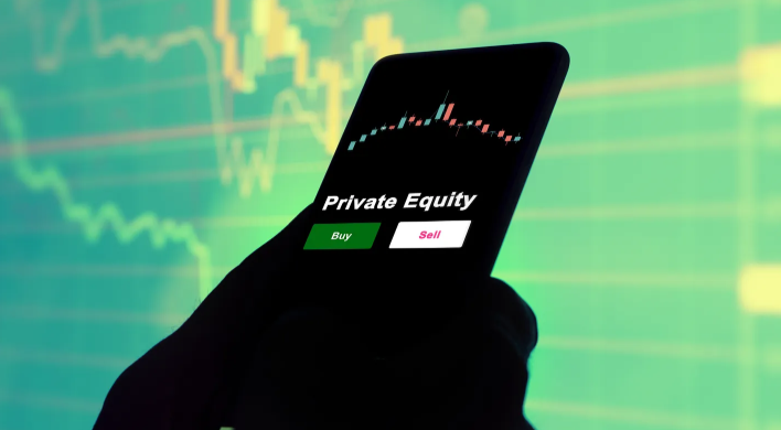 Think like a Private Equity Investor: A Reality-Checked Growth Strategy for 2025