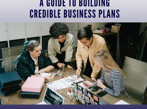 Stop Building Blind:  A guide to Building Credible Business Plans